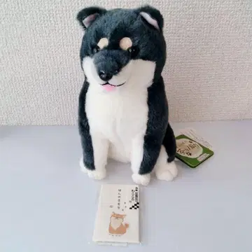 따뜻한 시바견 차차노스케 강아지 봉제 인형 덤 포함