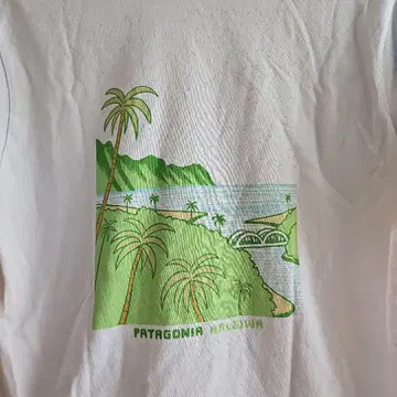 Patagonia 하레이와 티셔츠 S