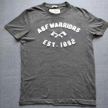 Abercrombie & Fitch 그레이 T셔츠 M