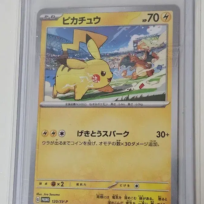 pikachu pokemon card halloween Amazon.com: Pokemon - Pikachu 062/193 - Trick or Trade 2023 - Holo Foil main image 1
