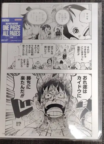 ONE PIECE 원피스 베이스샵 와노쿠니편 루피