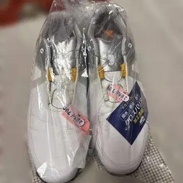 풋조이 골프화 화이트/실버