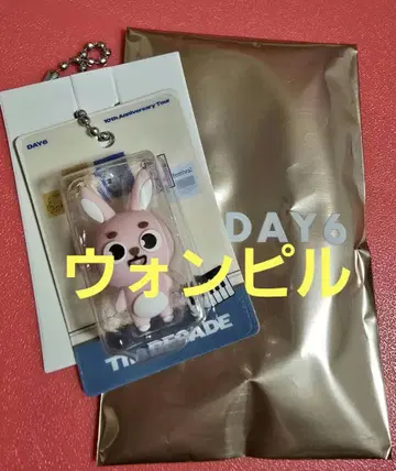 DAY6 랜덤 피규어 키링 원필
