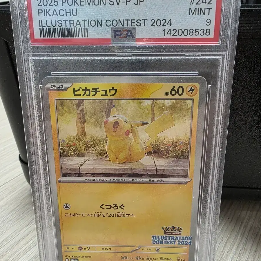 Pokemon Card Illustration Contest 2024 Promo 3-card bulk  #,#,#,# on Bunjang Global Site.
