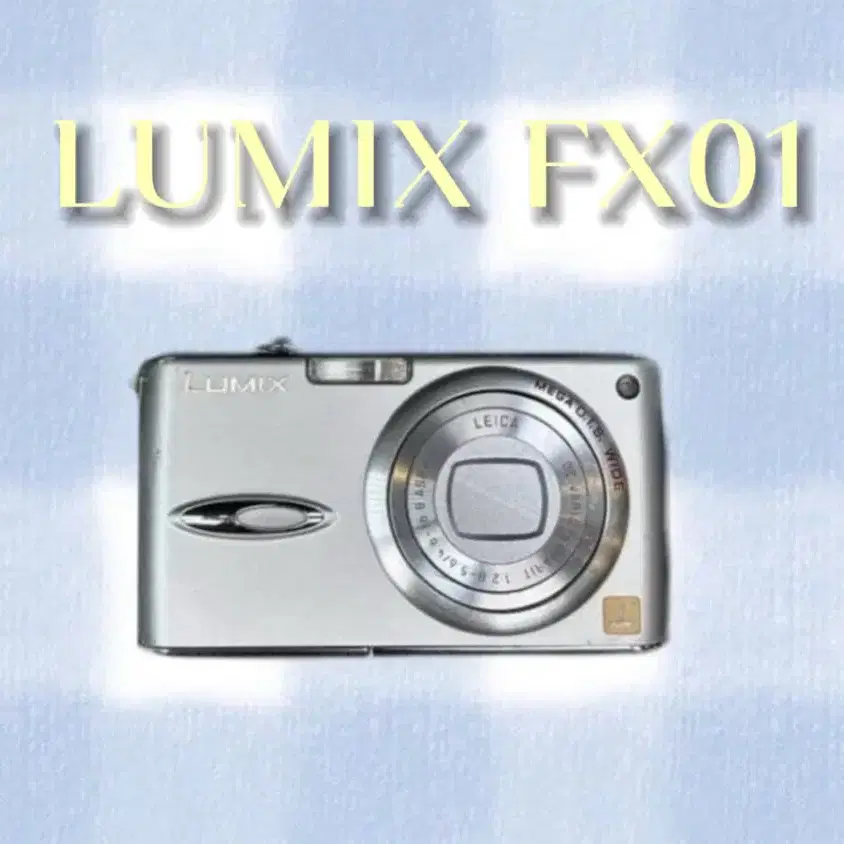 파나소닉 루믹스 DMC-FX01 디카