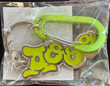 Aooo Metal Keychain 카라비너 메탈 참 그린