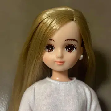 리카짱 캐슬 레트f BASIC 모델