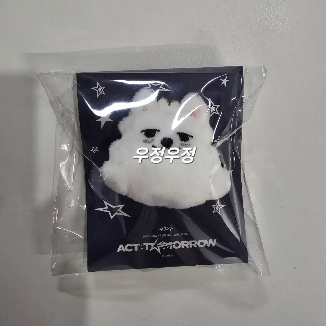 Sealed] Ppulbatu Choi Yong-meong Holiday Version Keyring | Bunjang