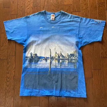 Vintage Pink Floyd Wish You Were Here T