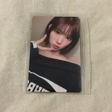 지우 상하이 kms 2.0 트레이딩 카드 focus
