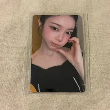 이안 kms focus 2.0 상하이 트레이딩 카드
