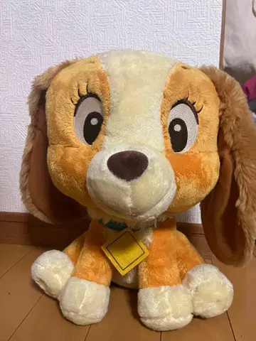 당시물 완완 이야기 레이디 엔젤