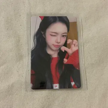 이안 kms focus 상하이 사인회 트레이딩 카드