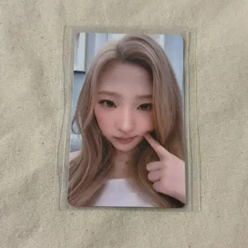 스텔라 kms focus 상하이 사인회 트레이딩 카드