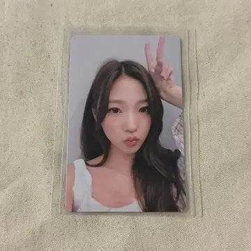 스텔라 kms thechase 항저우 사인회 트레이딩 카드