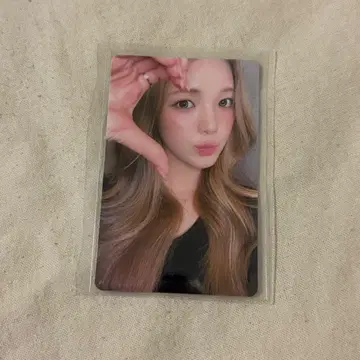 유하 kms focus 상하이 팬사인회 트레이딩 카드
