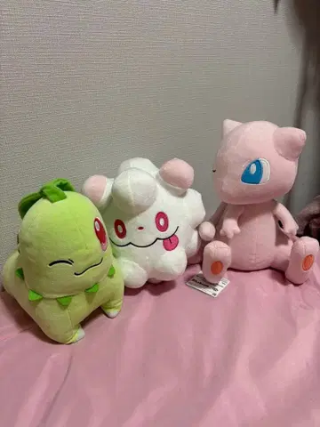 치코리타 시로데스나 뮤우 봉제 인형 세트