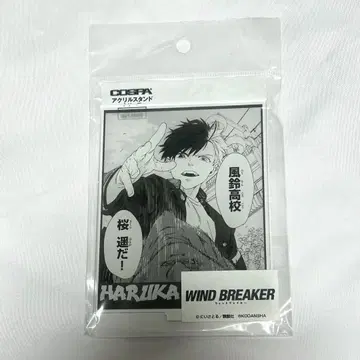WIND BREAKER 사쿠라 하루카 아크릴 스탠드 윈브레 COSPA