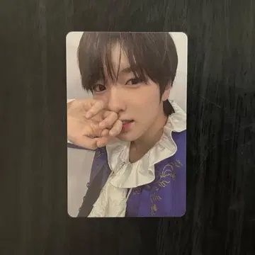 nctwish 사쿠야 login 트레이딩 카드