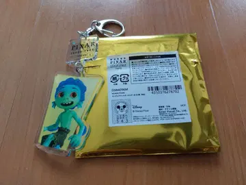 픽사전 아크릴 키링