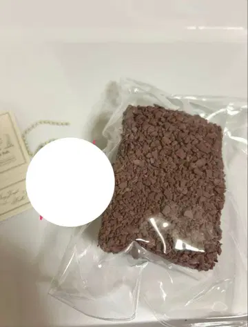dingjinglebells 초코 토스트 폭신폭신 새상품