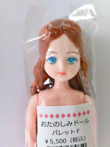 [미개봉 새상품] 오타노시미 인형 팔레트F 인형 리카짱 캐슬
