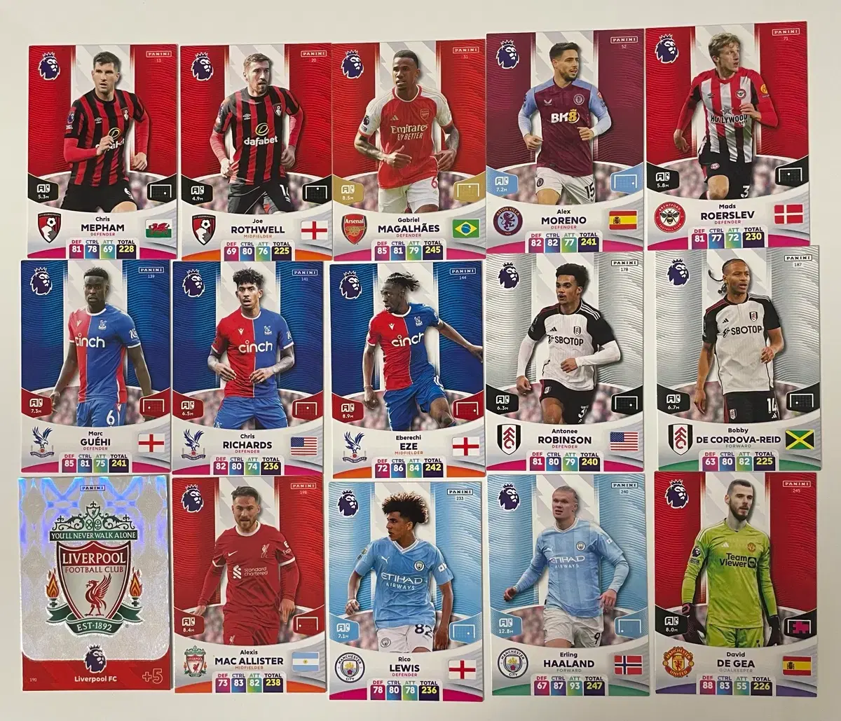 일괄) 파니니 2024 EPL 프리미어리그 축구 선수 카드