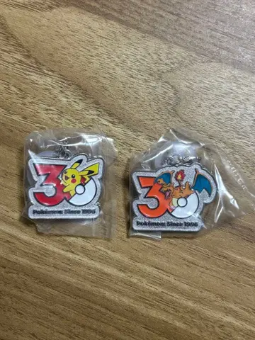 포켓몬 30주년 메탈 참 마스코트 2개 세트 피카츄 리자몽