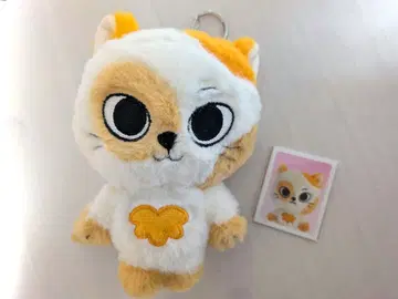 케피 CATBBI 성호 키링 BOYNEXTDOOR 봉제 인형