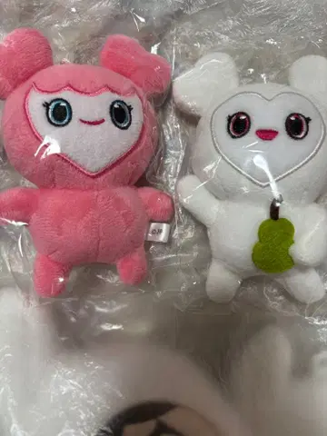 체인 없음, 트와이스 모모 다현