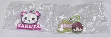 nctwish 메지루시 참 사쿠야