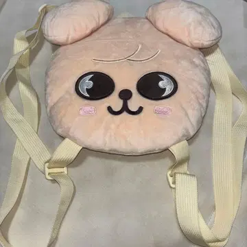 StrayKids 승민 럭색
