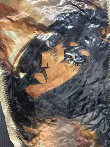 죠죠의 기묘한 모험 부챠라티 쿠션