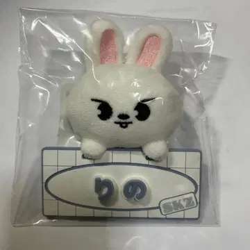 SKZ 네임 백참 Leebit