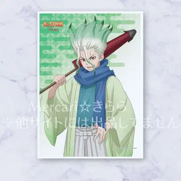 Dr.STONE 센쿠 일본 의류 B2 태피스트리