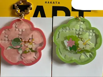 포켓몬 난동 아크릴 키링 쉐이미 카리키리 플라베베