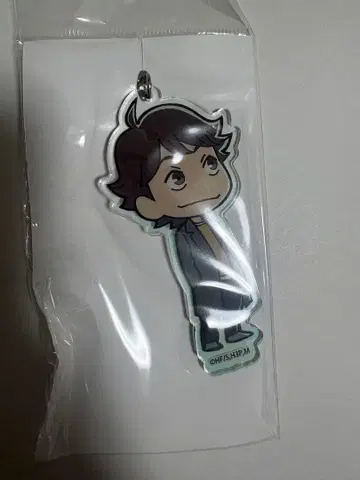 하이큐 파르코 오이카와