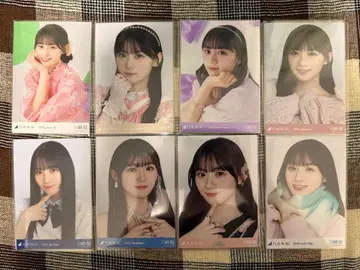 카와사키 벚꽃 브로마이드 세트
