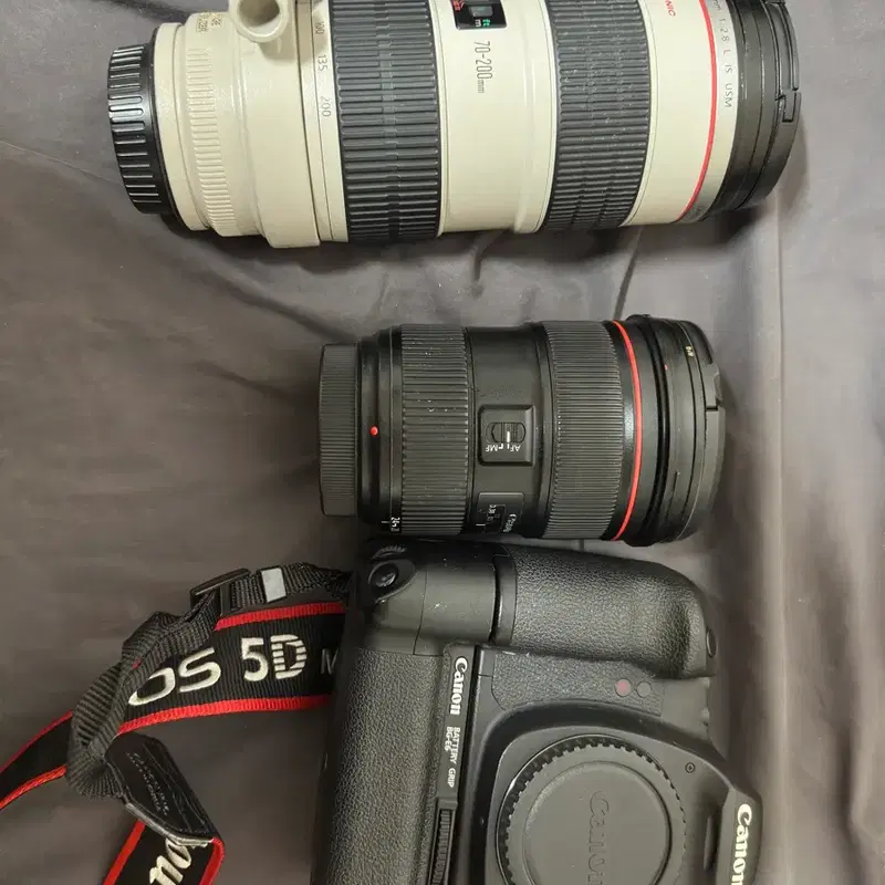 캐논 EOS 5D Mark II 카메라 + ef70 200 1세대+신계륵