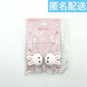 straykids 5시 clock 헤어 클립 리 비트