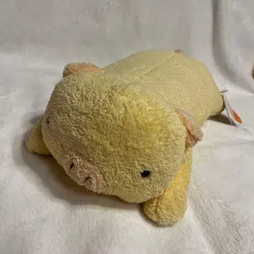 약 33cm 후릿카 마츠모토 돼지 봉제 인형 누쿠마로세라피 2005년
