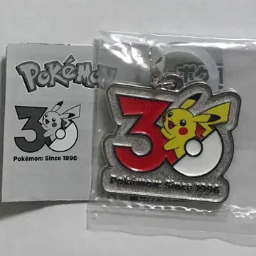 포켓몬 30주년 메탈 참 마스코트 피카츄