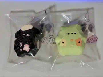 점점 스퀴즈 쿵쿵