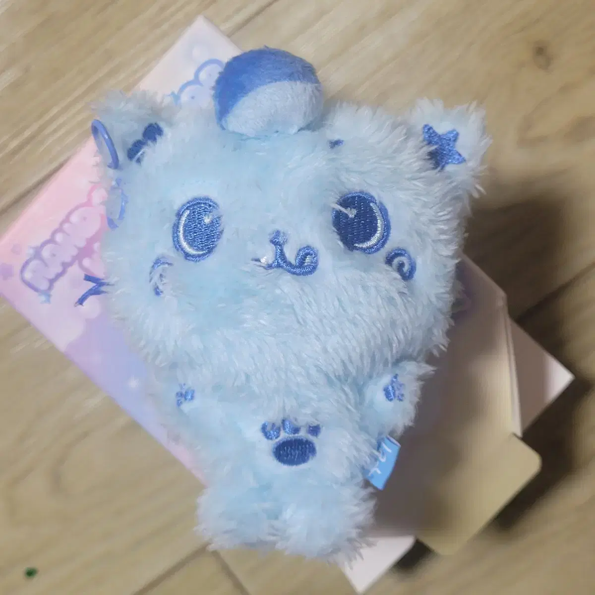 Nct Wish random color wish doll riku kuri pop up md doll | Bunjang