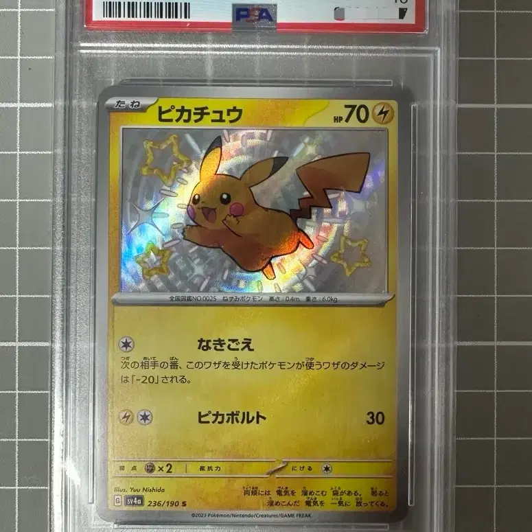 포켓몬 피카츄 이로치 psa10 사진 1