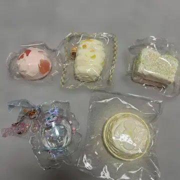 스퀴즈 5세트