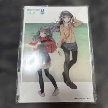 청춘 돼지 녀석 시리즈 10주년 기념 빅 아크릴 플레이트 사쿠라지마 마이