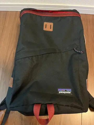컨디션 최상! 파타고니아 백팩 22L