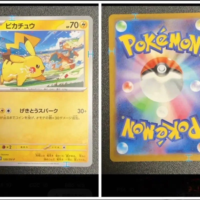 포켓몬카드 짐프로모 피카츄 psa10급 4장 일판