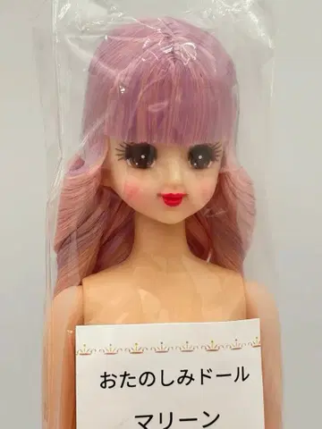 마린 리카짱 캐슬 오타노시미 인형 핑크 계열 제니 프렌드